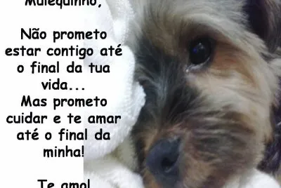 meu filhotinho de 4 patas