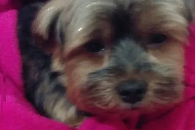 Com friozinho