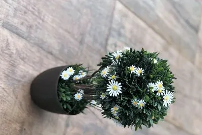 flores