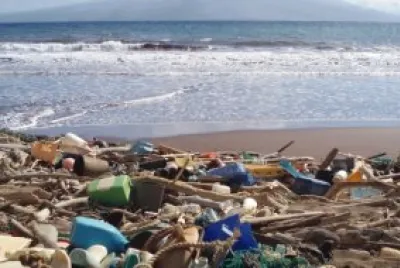World Save Our Oceans Day