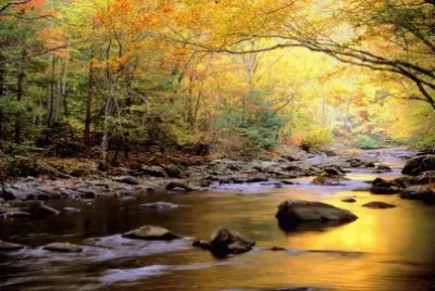 naturaleza