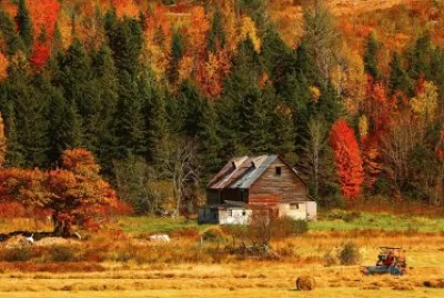 naturaleza