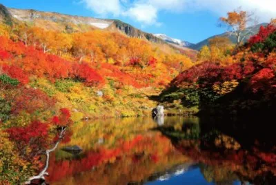 naturaleza