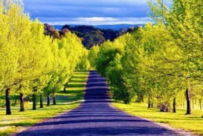 naturaleza jigsaw puzzle