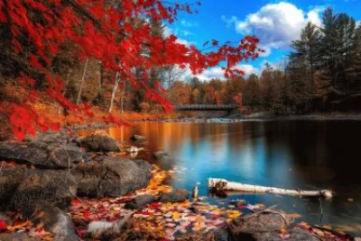naturaleza
