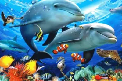 Ocean Life