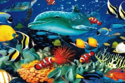 Ocean Life