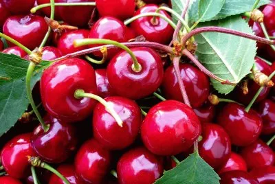 cerises