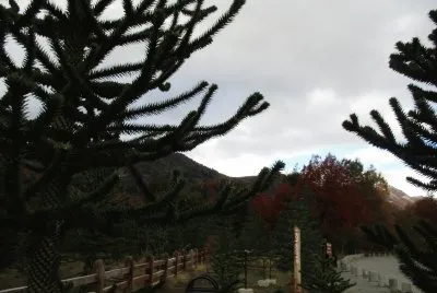 naturaleza