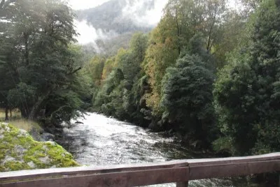 naturaleza