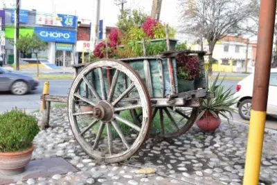 carretita jigsaw puzzle