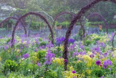 imagem jigsaw puzzle