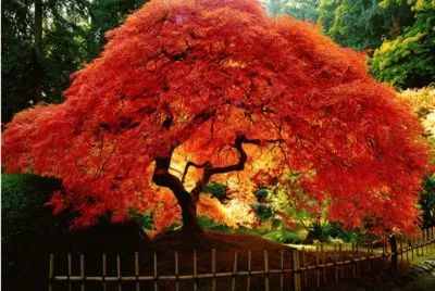 naturaleza