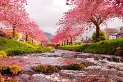 naturaleza