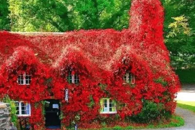 naturaleza