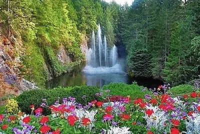 naturaleza jigsaw puzzle