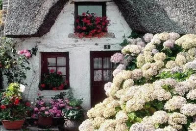 naturaleza