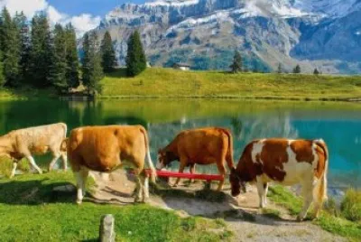 naturaleza
