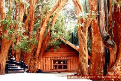 naturaleza