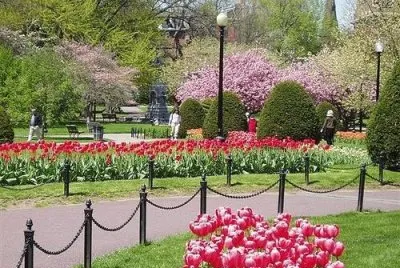 פאזל של Boston
