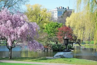 פאזל של Boston