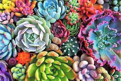 cores