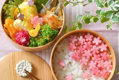 Sakura Bento