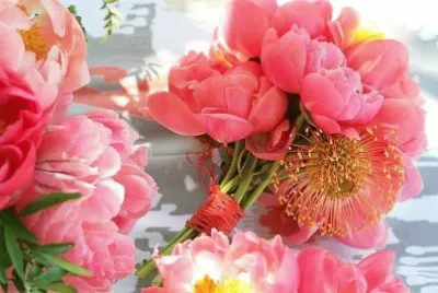 flores