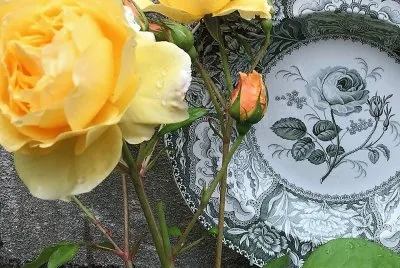 flores
