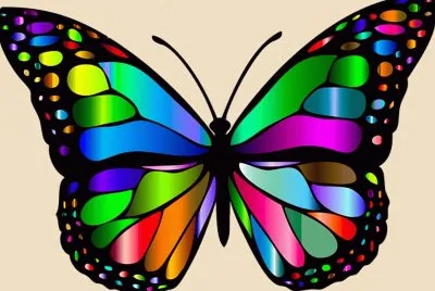 Papillon jigsaw puzzle