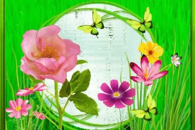 Bunt