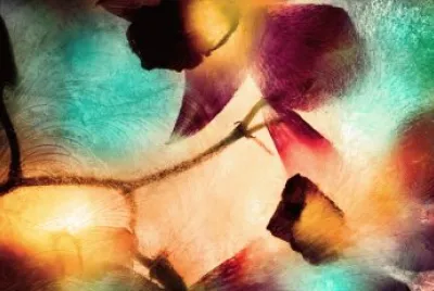 Feuilles