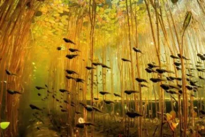 imagem jigsaw puzzle