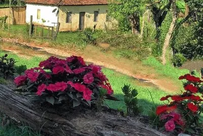 Camino real jigsaw puzzle