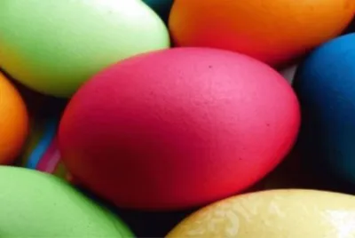 å½©è‰²é£Ÿç‰©