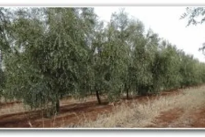 ×¨×©×•×ª × ×™×§×•×– ×™×¨×“×Ÿ ×“×¨×•×ž×™