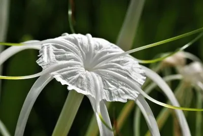 naturaleza
