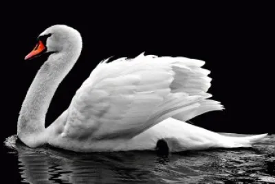 naturaleza