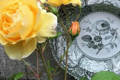 flores