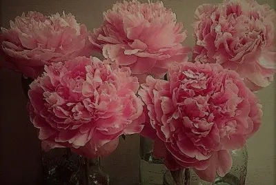 flores