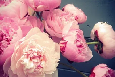 flores