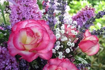 flores