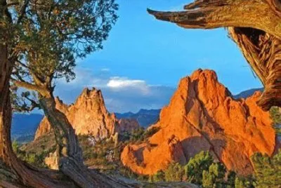 NATUREZA jigsaw puzzle