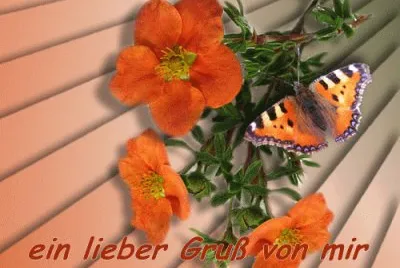 Bunt