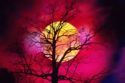 Colors