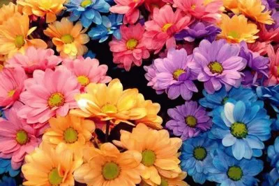 Bunt