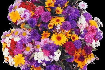 Bunt