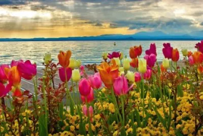 Flowers jigsaw puzzle