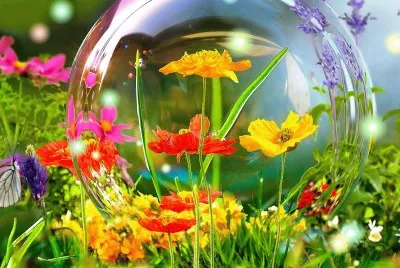 Flowers