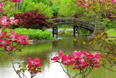 Flowers jigsaw puzzle